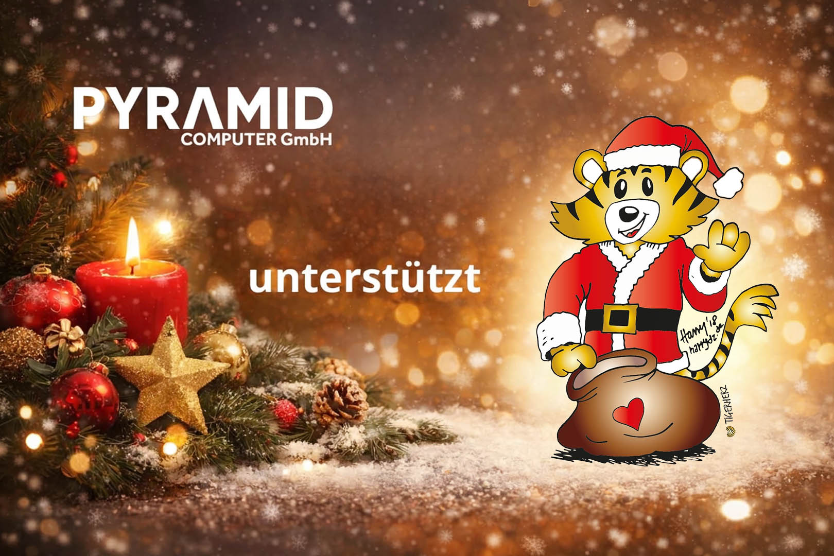 Pyramid Computer spendet für Tigerherz