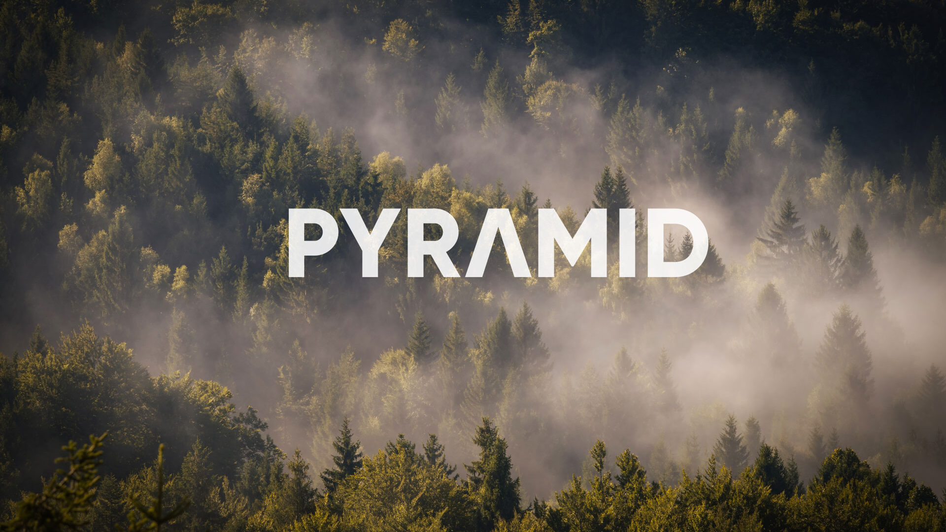 umwelt pyramid