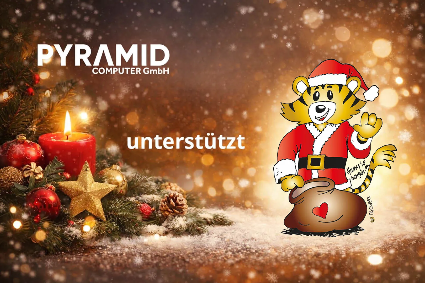 Pyramid Computer spendet für Tigerherz
